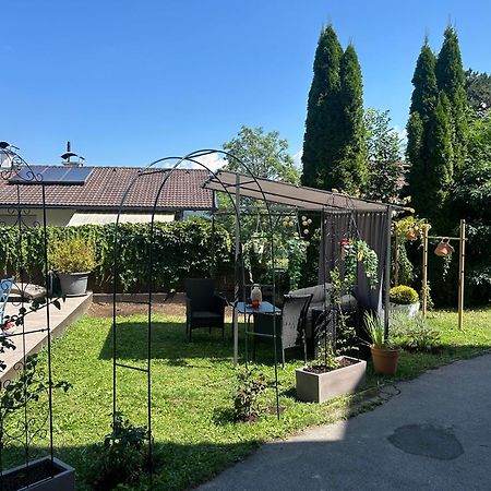 Traumwohnung Mit Eigenem Spa 修尔 外观 照片